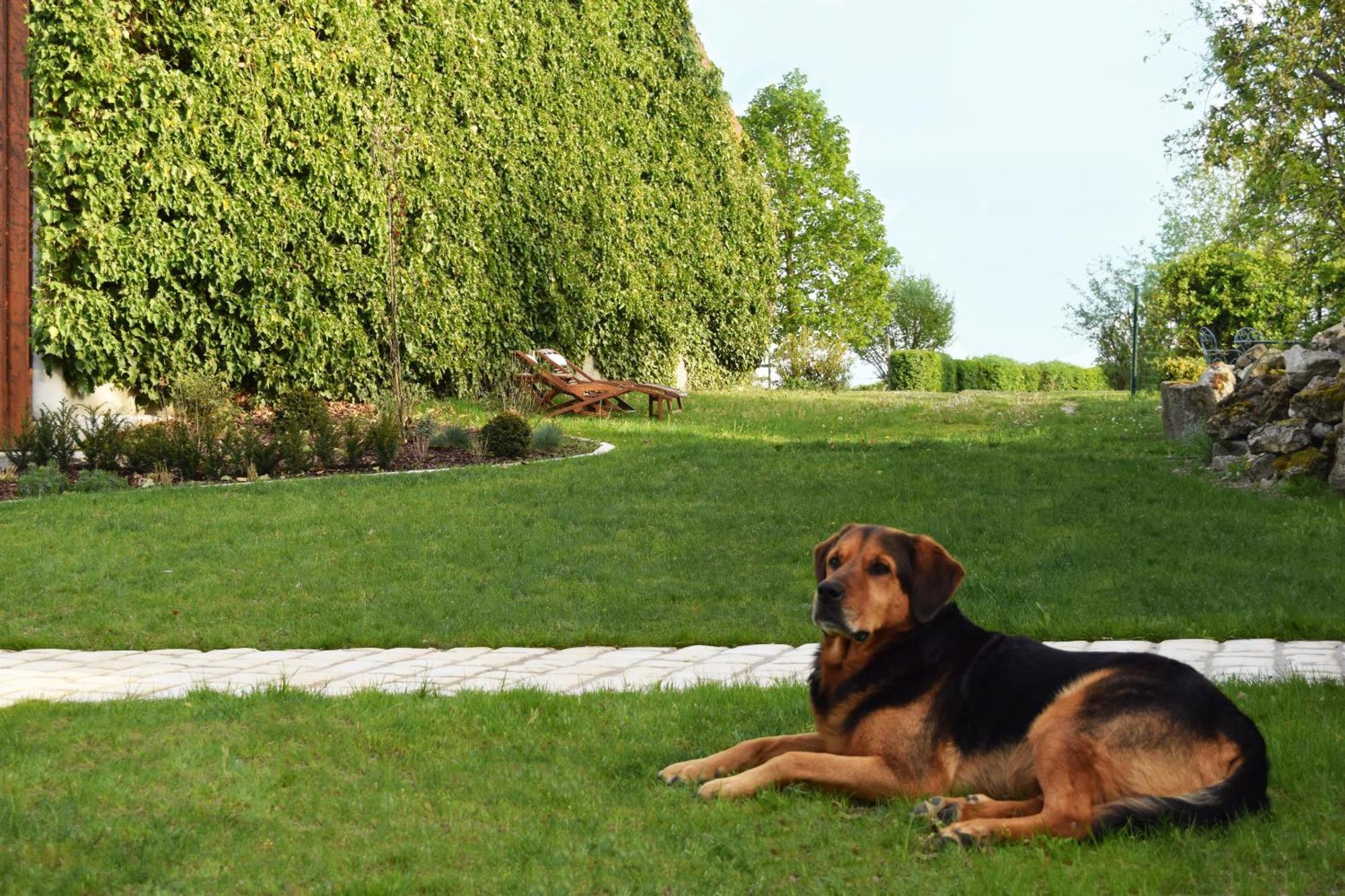 Au Pre Du Moulin Bed and Breakfast Clamanges Buitenkant foto